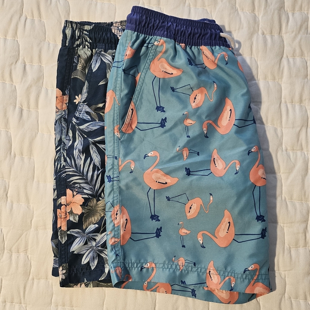 2 American Eagle Swim/Board Shorts